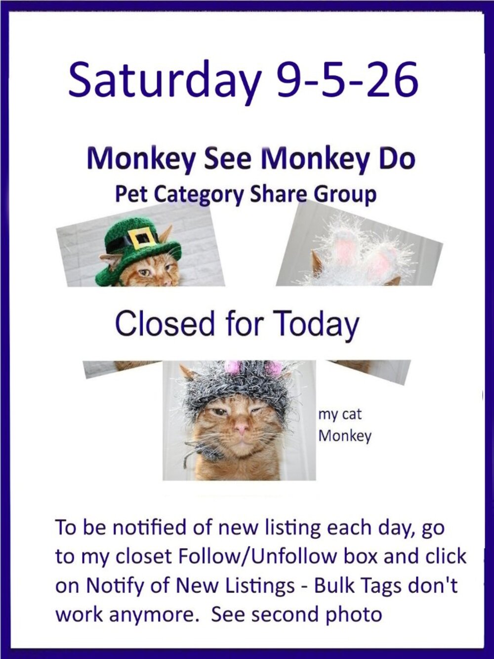 Saturday 9-5-26 Dog Cat Small Animal Pet Share Discussion Group
